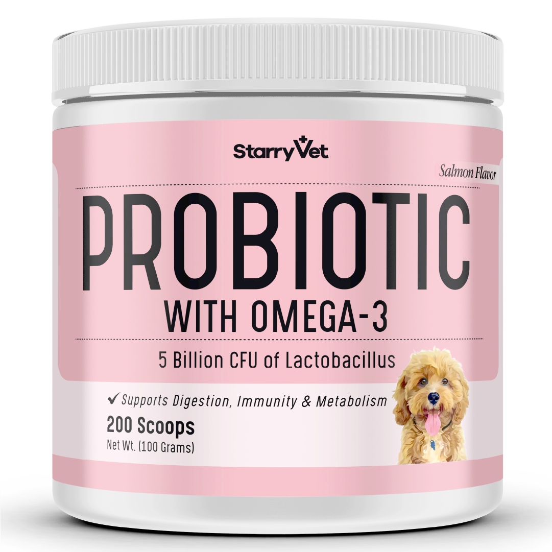 Probiotic Powders with Omega-3