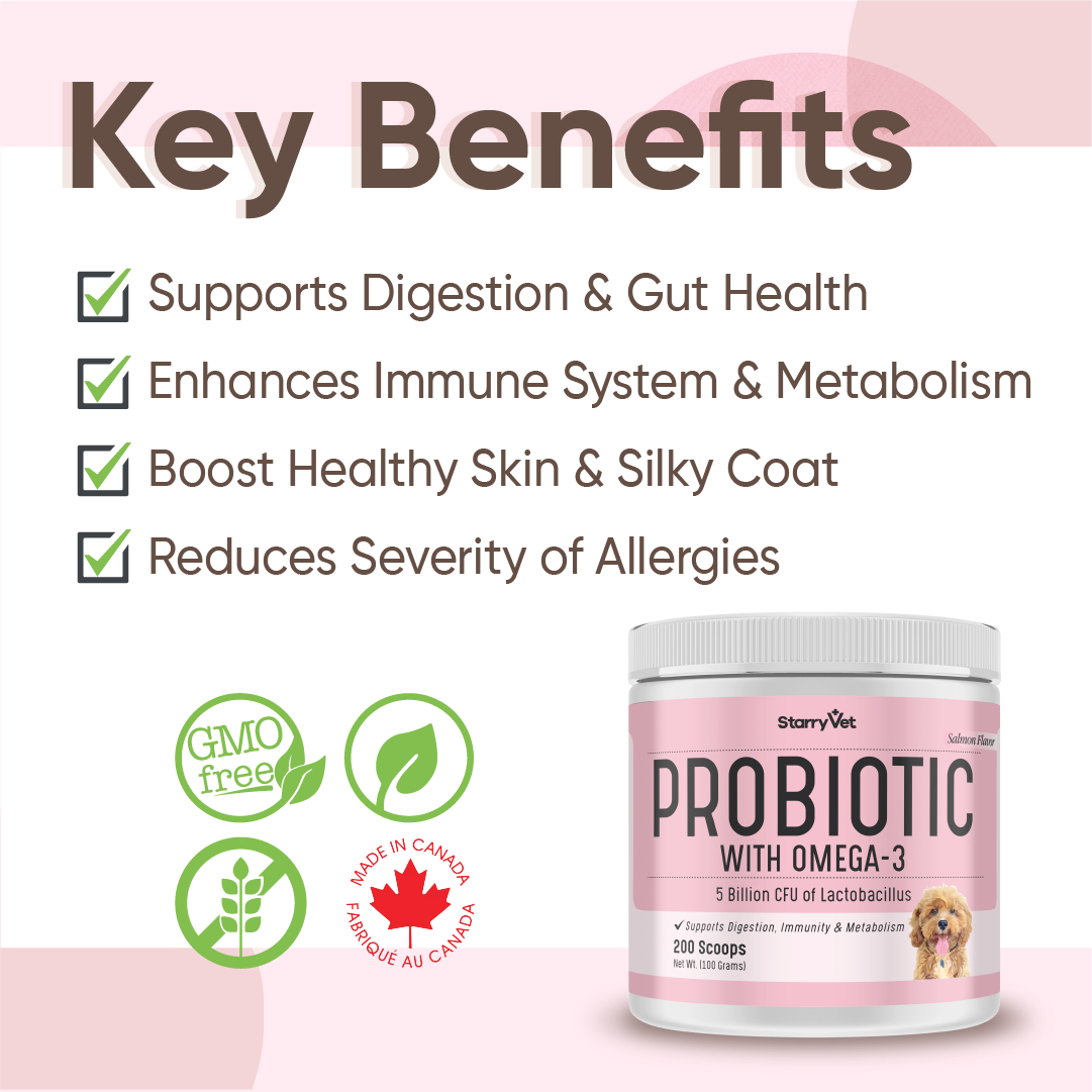 Probiotic Powders with Omega-3