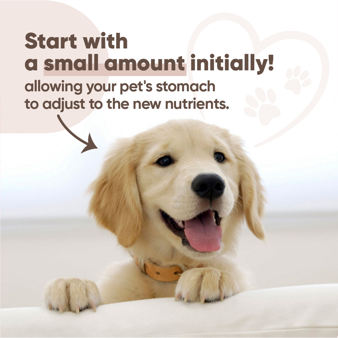 Probiotic Powders with Omega-3