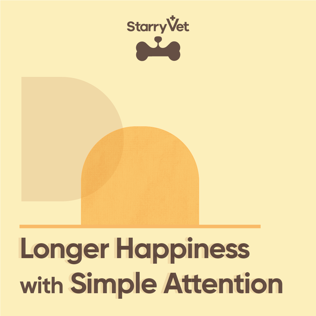 Hip&Joint Support with Omega-3