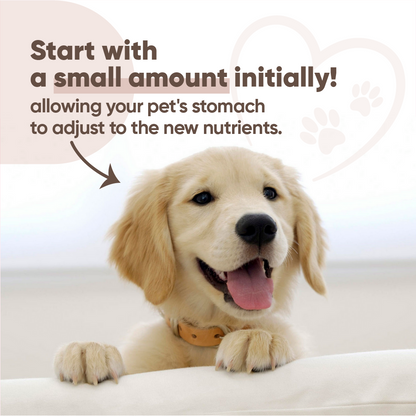 Probiotic Powders with Omega-3